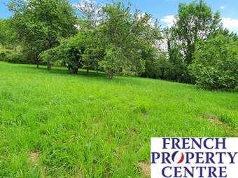 Property Main Photo