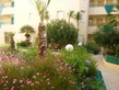 2 Bed. Apartment, Near SETE in Hérault