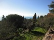 Plot, Near SETE in Hérault