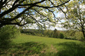 Plot, Near Fleurac in Dordogne