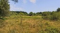 Plot, Near SAINT-MARTIN-LE-PIN in Dordogne