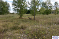 Plot, Near Faurilles in Dordogne