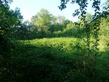 Plot, Near VAILHOURLES in Aveyron