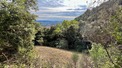 Plot, Near Grasse in Alpes-Maritimes