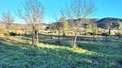 Property, Near Beziers in Hérault