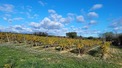 Property, Near Beziers in Hérault