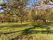 Plot, Near Le Buisson-de-Cadouin in Dordogne