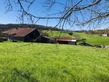 Plot, Near MONTJOIE EN COUSERANS in Ariège