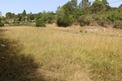 Plot, Near Saint Polycarpe in Aude