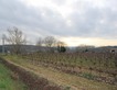 Plot, Near Limoux in Aude