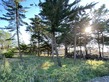 Plot, Near BRETIGNOLLES SUR MER in Vendée