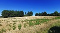 Plot, Near VARAIGNES in Dordogne